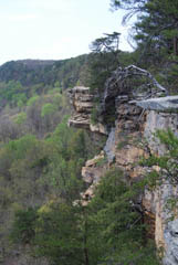 Tennessee Watchable Wildlife Savage Gulf Sna Stone Door Entrance