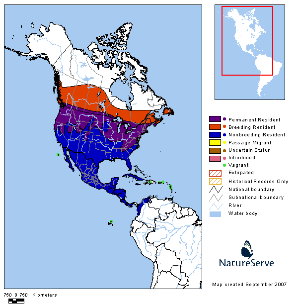 Tennessee Watchable Wildlife Cedar Waxwing Habitat FOREST