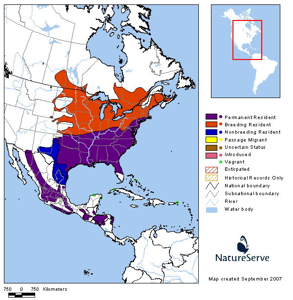tennessee watchable wildlife eastern bluebird habitat 1 tennessee watchable wildlife eastern bluebird habitat 1