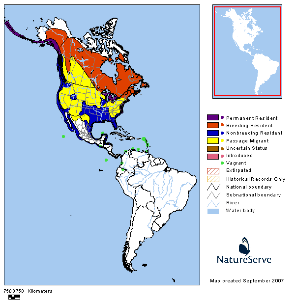 Tennessee Watchable Wildlife Herring Gull Habitat 1