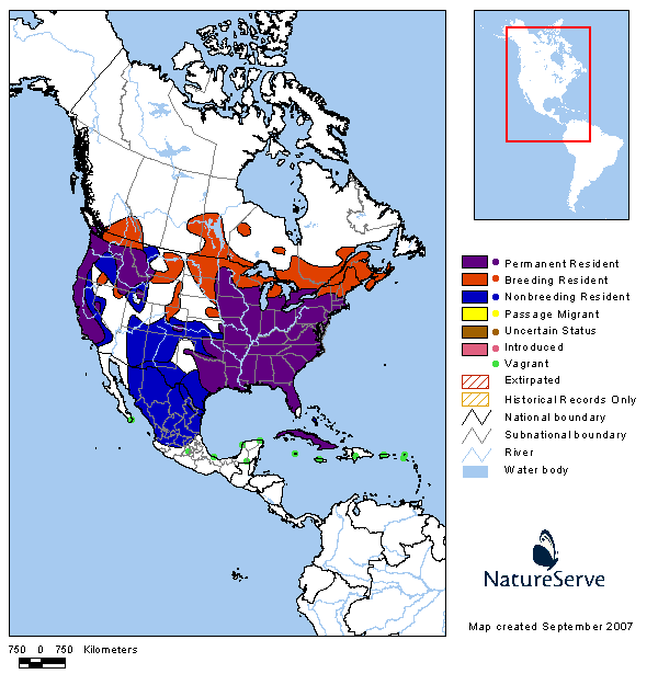 Tennessee Watchable Wildlife 100 Common Birds of Tennessee Wood Duck