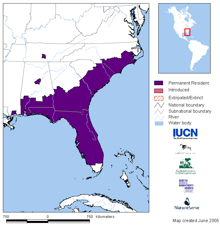 Tennessee Watchable Wildlife Gopher Frog