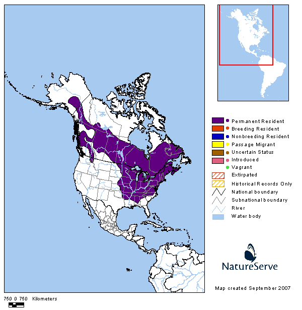 Tennessee Watchable Wildlife Woodchuck (Hunted)
