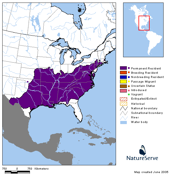 Tennessee Watchable Wildlife Copperhead