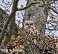Tennessee's Watchable Wildlife