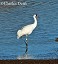 Tennessee's Watchable Wildlife