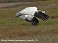 Tennessee's Watchable Wildlife