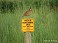 Tennessee's Watchable Wildlife