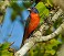 Tennessee's Watchable Wildlife