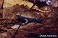 Tennessee's Watchable Wildlife