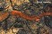 Tennessee's Watchable Wildlife
