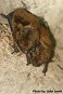 Tennessee's Watchable Wildlife