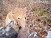 Tennessee's Watchable Wildlife