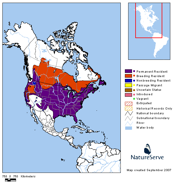 Tennessee Watchable Wildlife American Crow Habitat 1